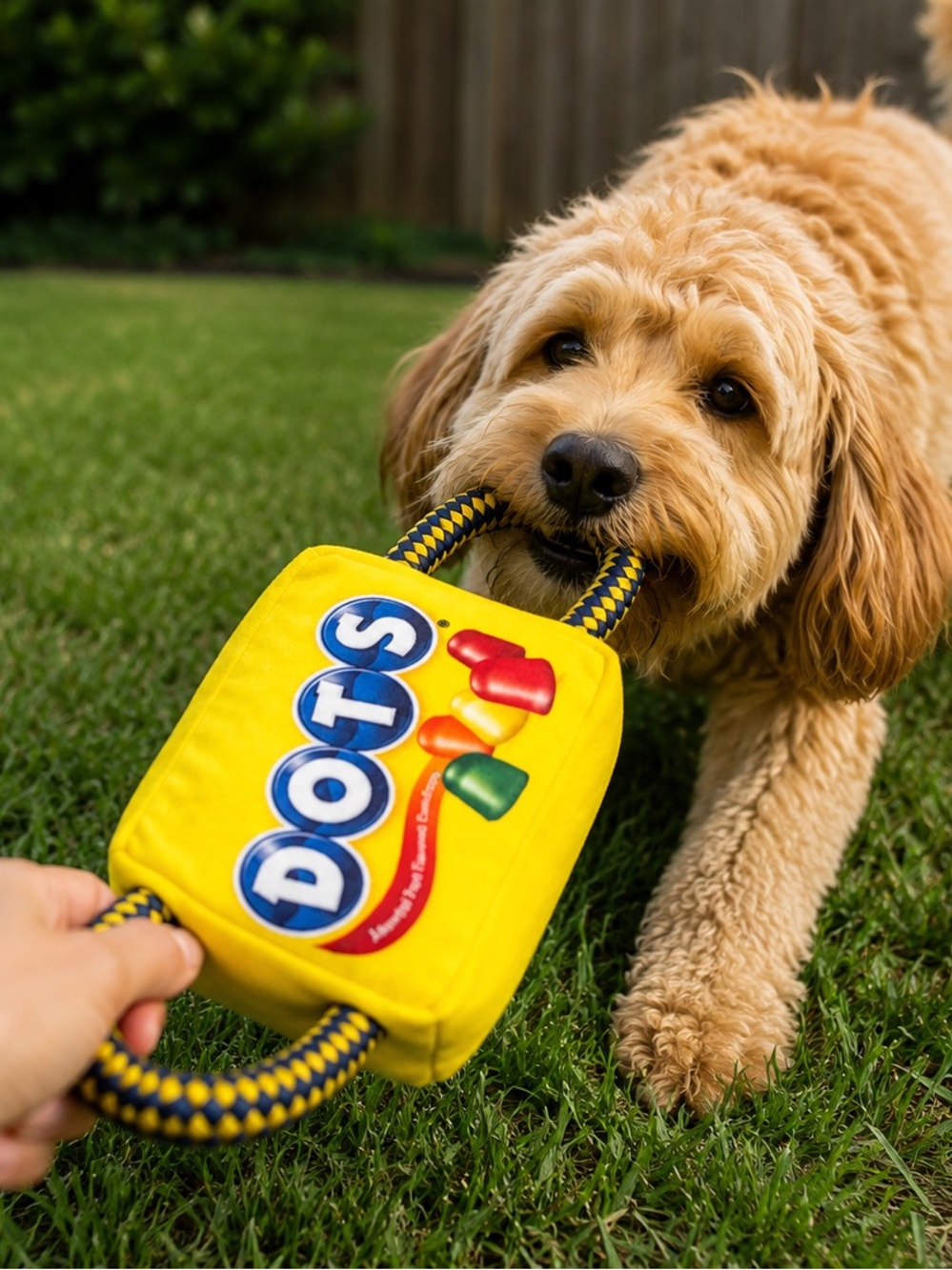 Dots Squeak & Tug Yellow Dog Toy - Tootsie NWT